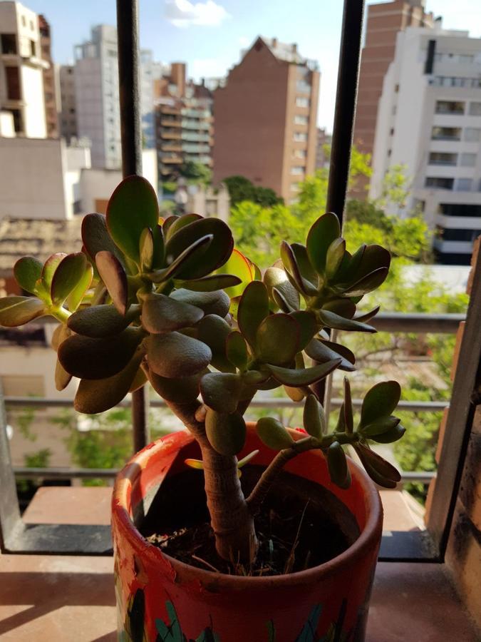 Apartamento Carlucci Córdoba Extérieur photo